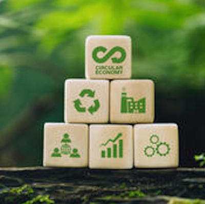 Sustainability 